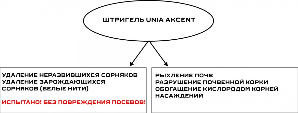ПРУЖИННАЯ БОРОНА(ШТРИГЕЛЬ) UNIA AKСENT 12
