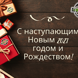 С Наступающими праздниками Нового года и Рождества!