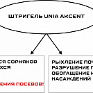 ПРУЖИННАЯ БОРОНА(ШТРИГЕЛЬ) UNIA AKСENT 12 (уменьшенное)