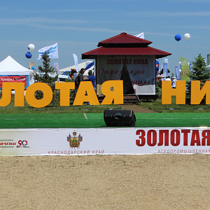 Выставка ЗОЛОТАЯ НИВА